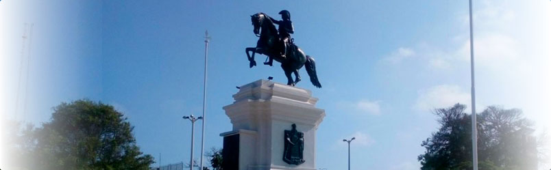 Pregunta 6